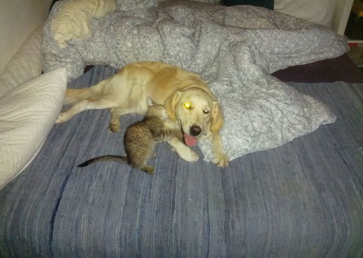 happy_13856728142013-09-03 20_32_42.jpg