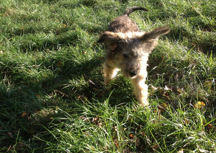 happy_1381952474Anhang 1.jpg