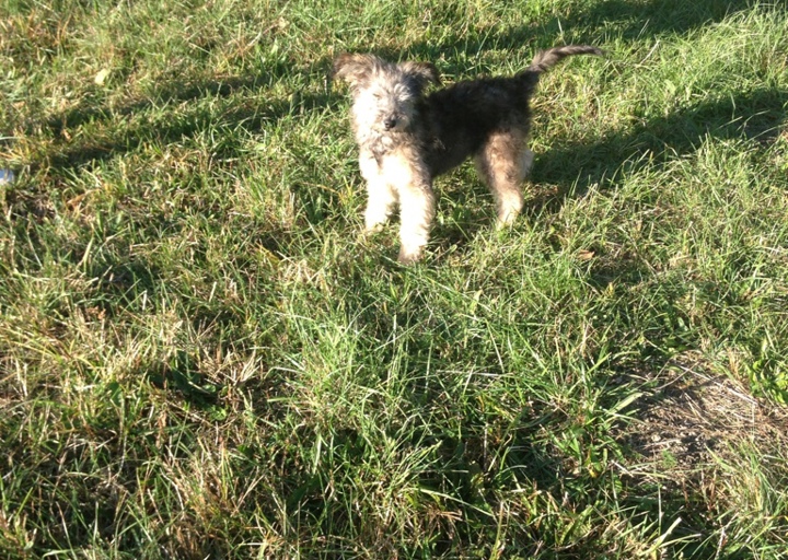 happy_1381952474Anhang 3.jpg