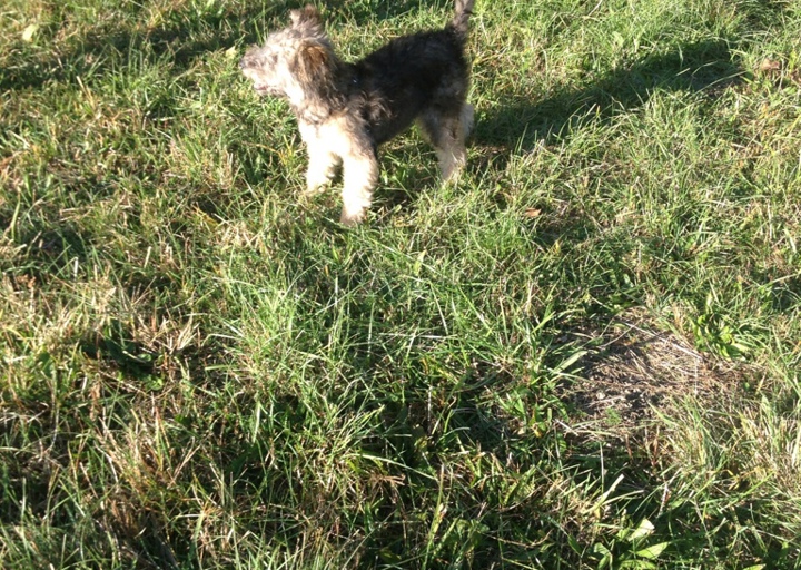 happy_1381952474Anhang 4.jpg