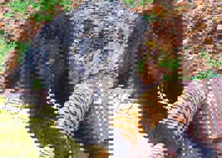 happy_1381952040Balin mit Tiger.jpg