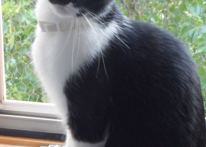 happy_1381185220bilder 158.JPG