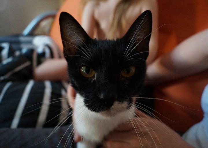 happy_1381185220bilder 055.JPG