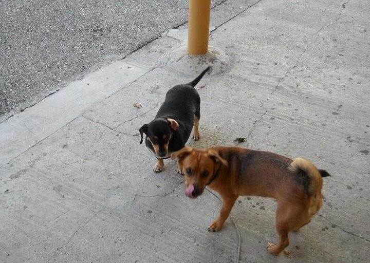 happy_1380384153mama3 165.jpg