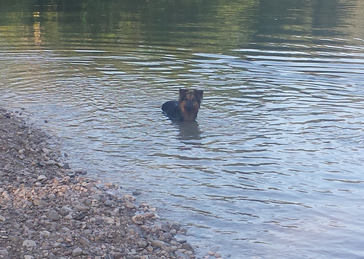 happy_13779455672013-08-05 07.56.16.jpg