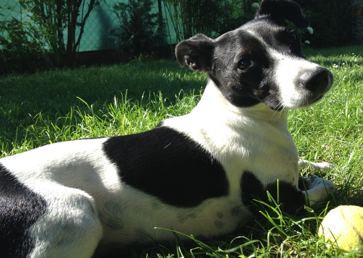 happy_1376517597Una im Garten.JPG