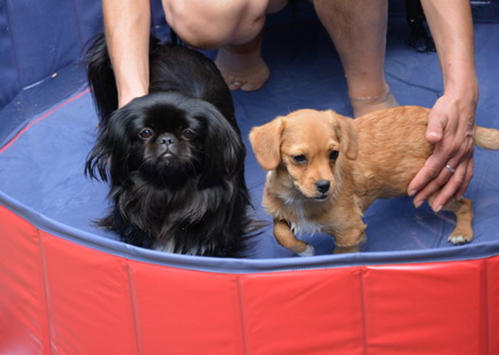 happy_1375454931Bubo (3).jpg