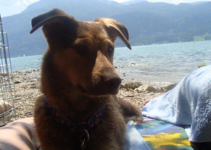 happy_13748671762013-07-19 01.03.59.jpg