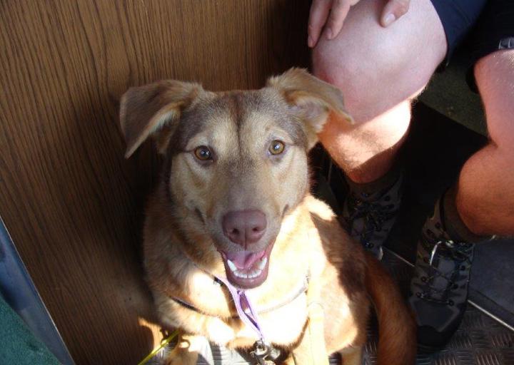 happy_13748666352013-07-17 21.11.35.jpg