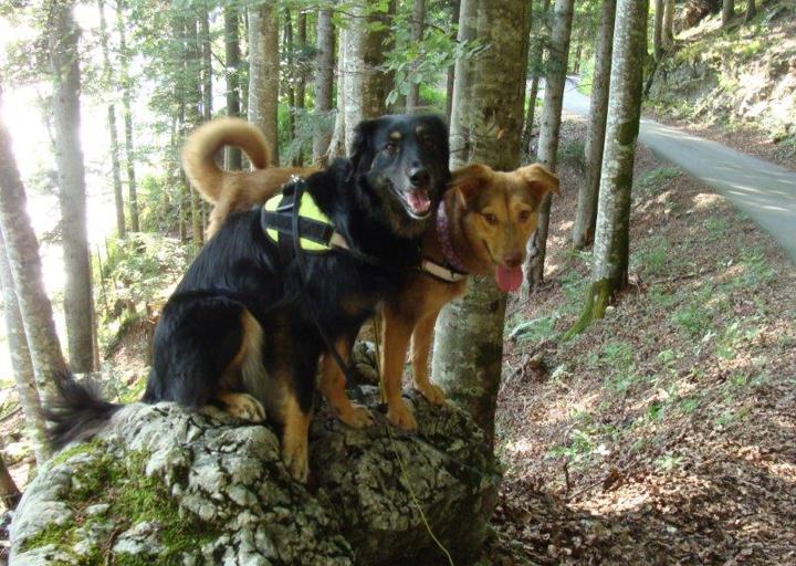 happy_13748666352013-07-20 04.52.15.jpg