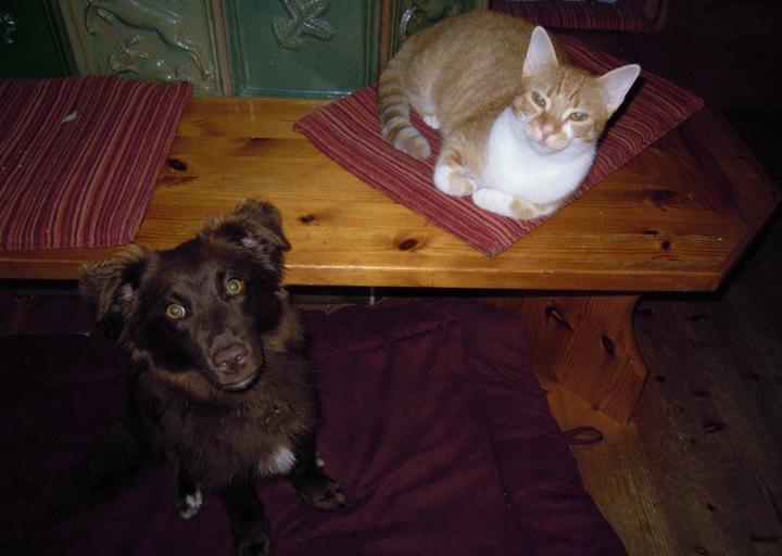 happy_1374094181Mara (Merla) und Babsi (Fedorah).jpg