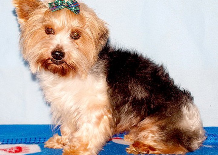 happy_1372531914Charlotte 033.jpg