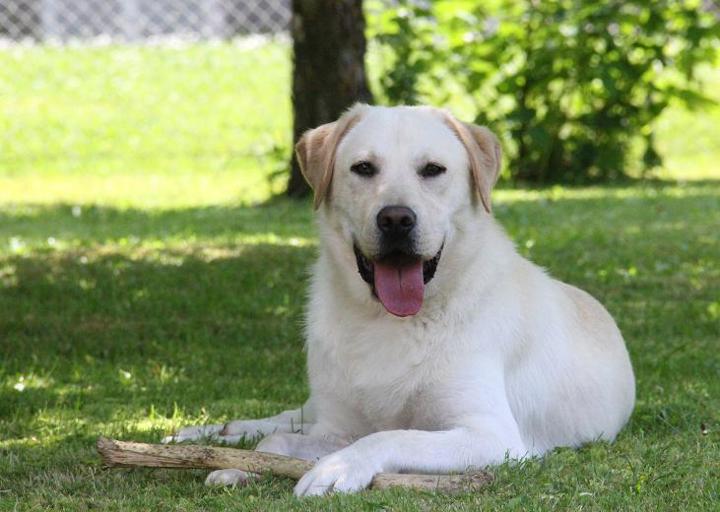 happy_1370763978flynn (2).jpg