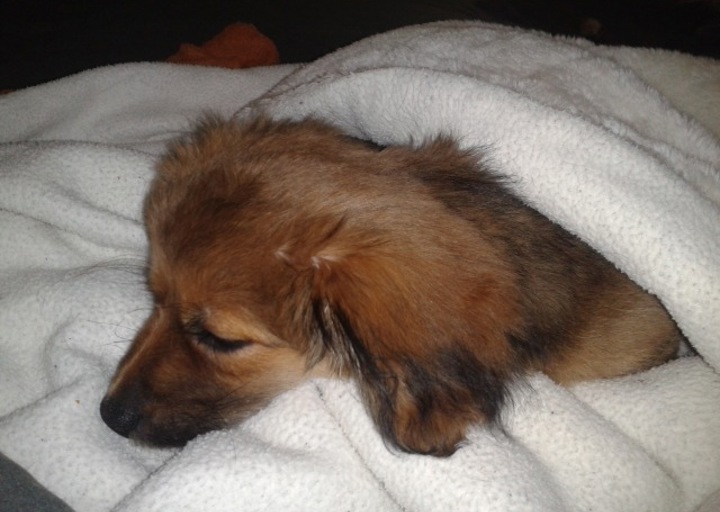 happy_13619143152013-02-26 10_36_34.jpeg