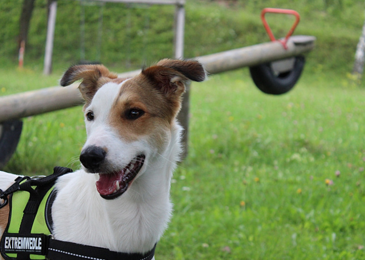 happy_1360707388Fotos Maggie-01.jpg