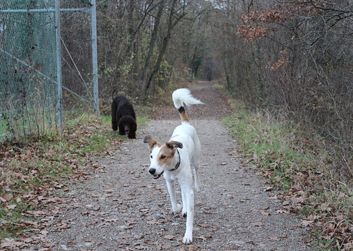 happy_1360707388Fotos Maggie-4.jpg