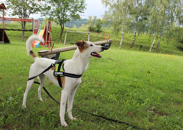 happy_1360707388Fotos Maggie-5.jpg