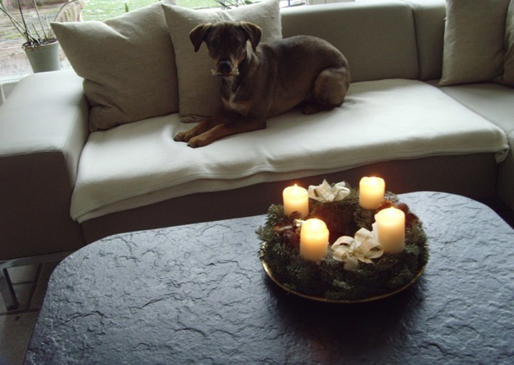 happy_1360708277Frohe Weihnachten 2012.jpeg