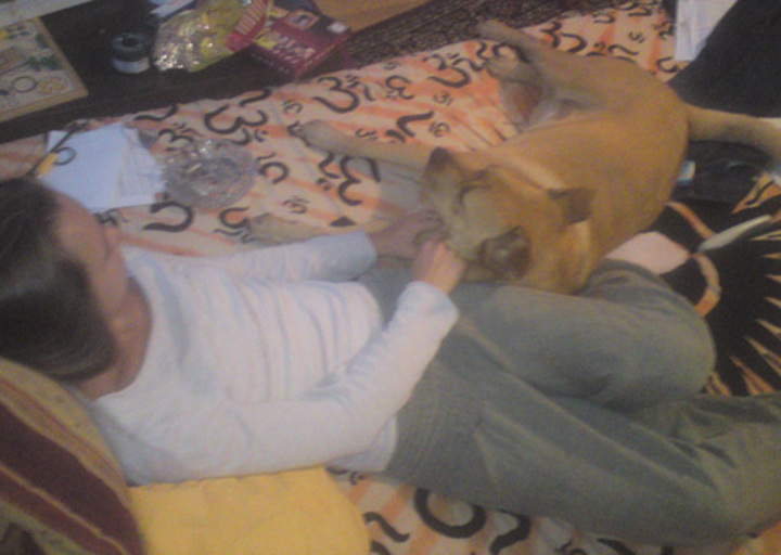 happy_1357002290sometimes karma chills with us on the couch ;).JPG