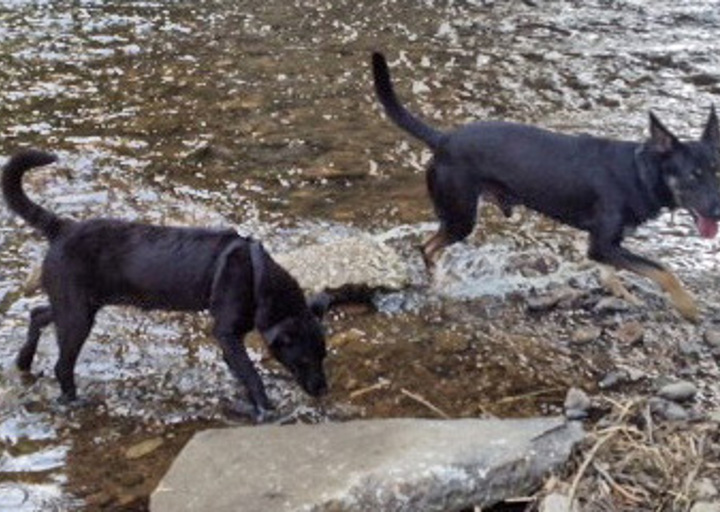 happy_1352667816Jack (ehemals Phortos).jpg