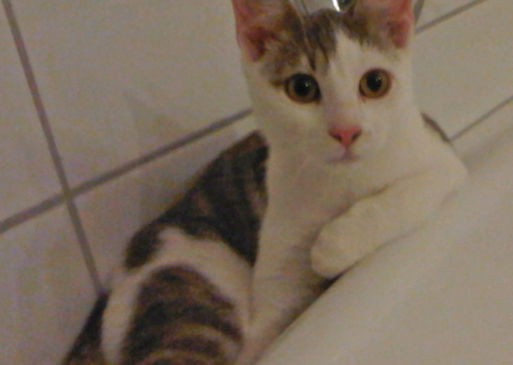 happy_1352582399Boettger_Ben 201210.jpg