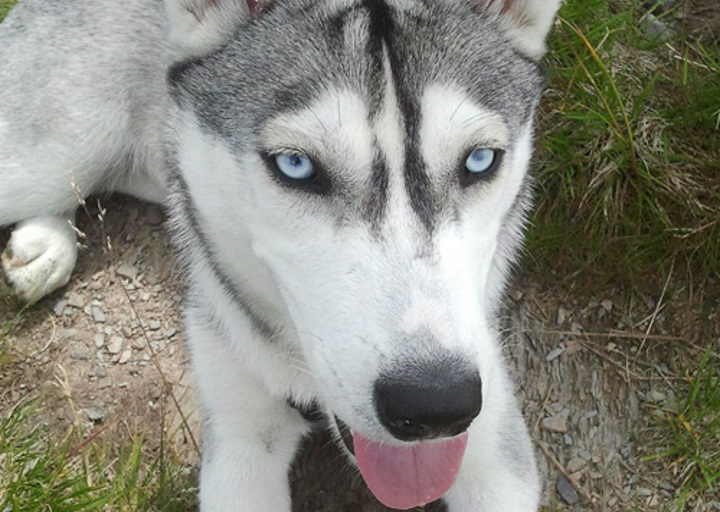 happy_1351731522Lucy 1.jpg