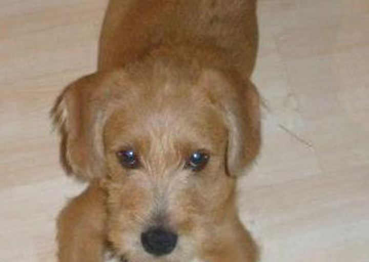 happy_1352665513Eliot (3).jpg