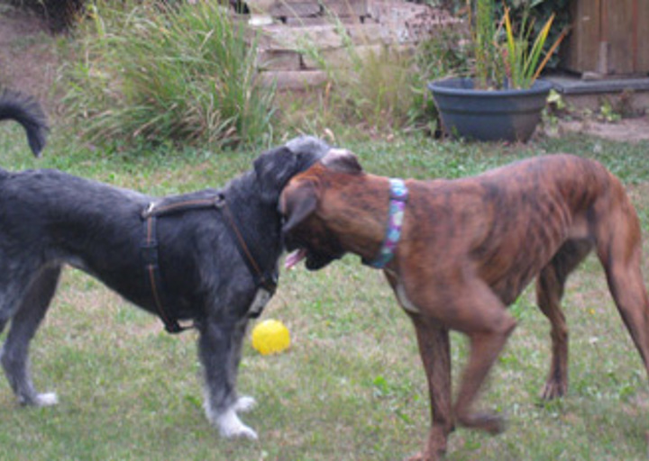 happy_1351726079Tanja m neuer Freundin.jpg