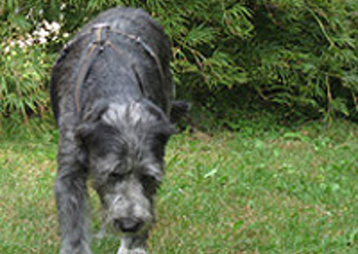 happy_1351726079Tanja im Garten 1.jpg
