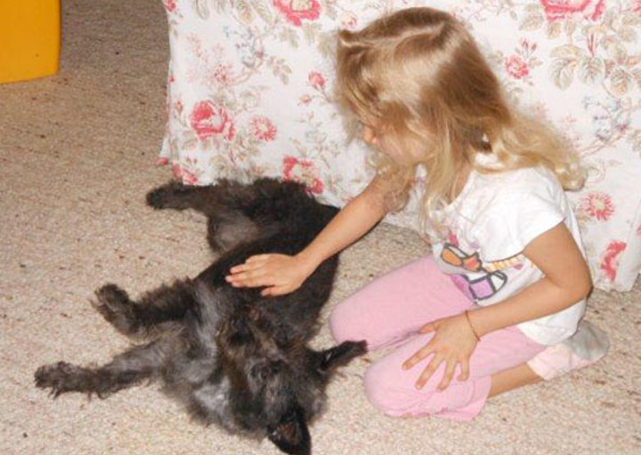 happy_1351722587dud 004.jpg