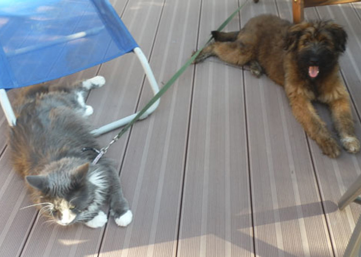 happy_1351458613Kessy (3).JPG