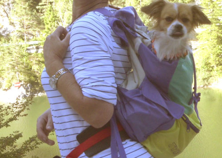 happy_1351457306Cheri _2.JPG