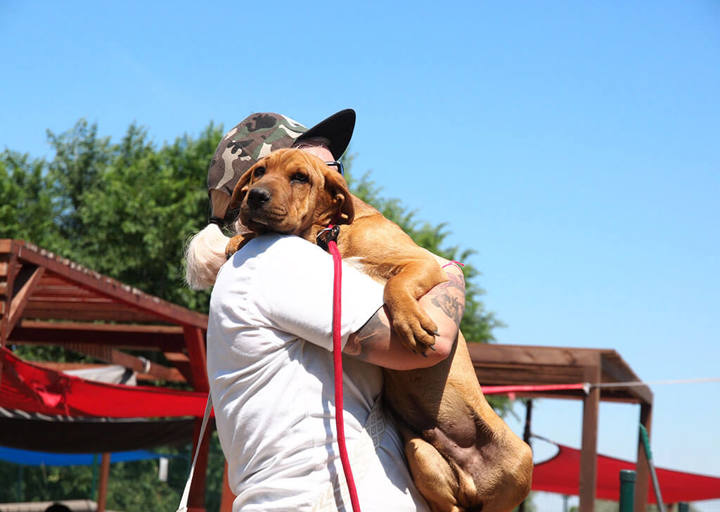 Kopie Von 25 07200338