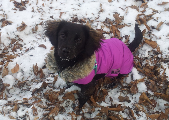 happy_1355877332palma 1.jpg