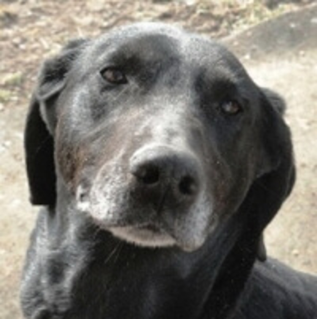 merge_200_Helga 1.jpg