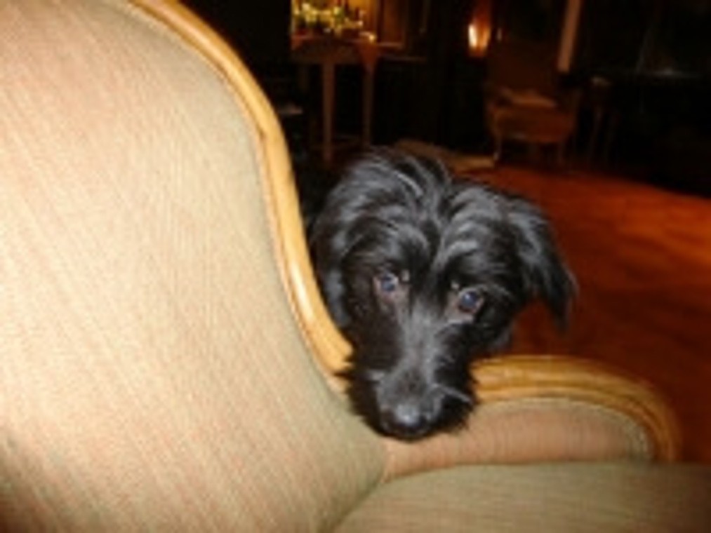 merge_200_Heidi süsse.jpg