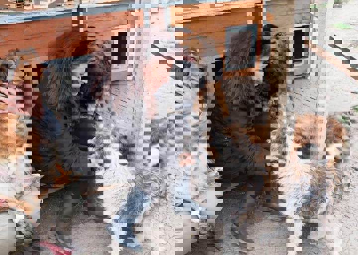 Svilos-1-2017-Carol in Ihrem Reich.JPG