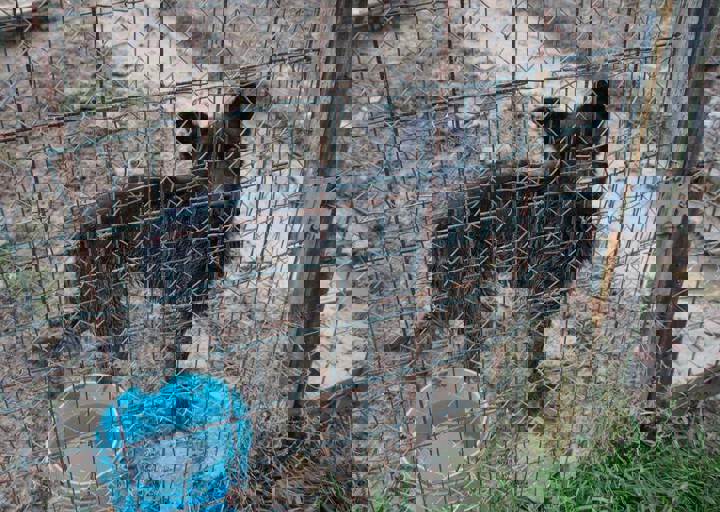 Svilos-1-2017-Gatsch 3.JPG