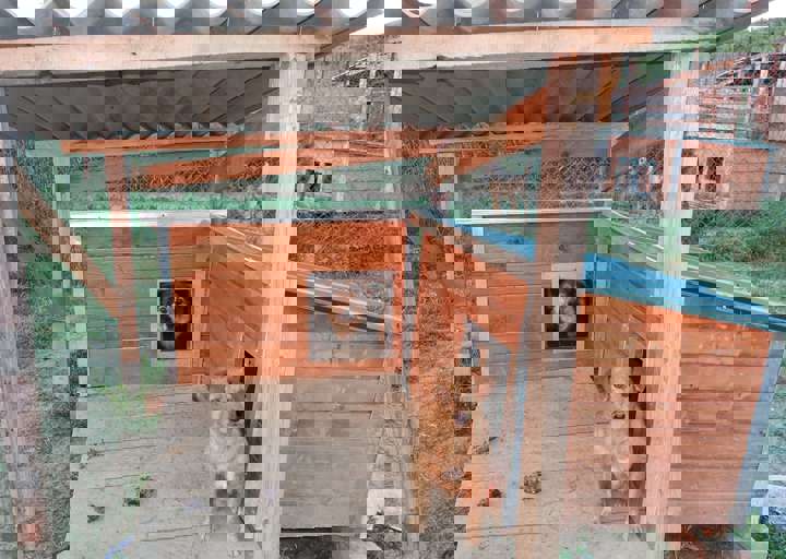 Svilos-1-2017-Isolierte Hütten.JPG