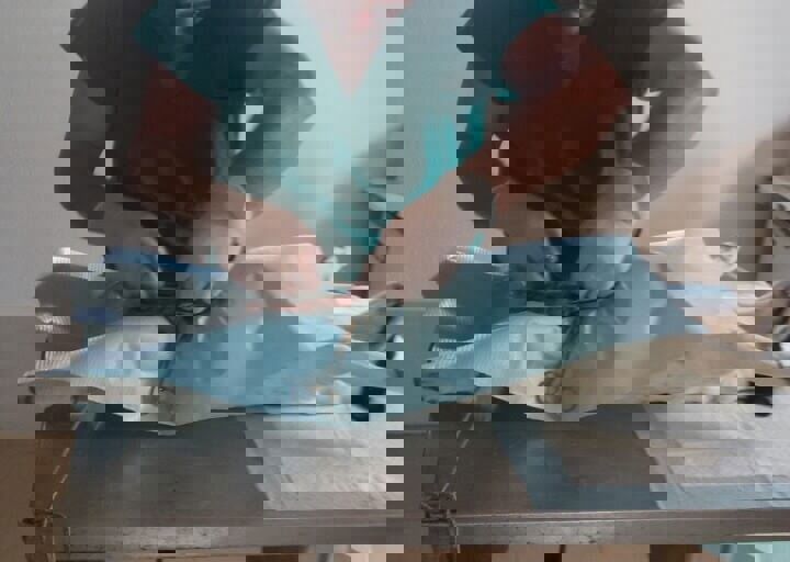 Svilos-1-2017-Kastration Svilos (3).jpg