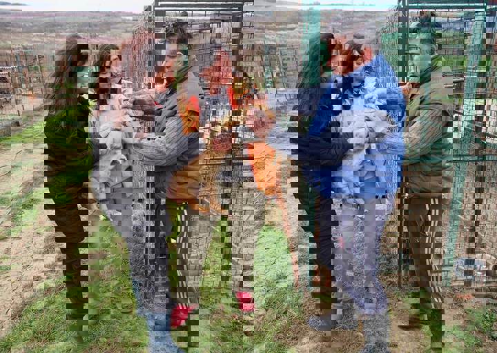 Svilos-1-2017-Tierarzt Dr. Djura.JPG