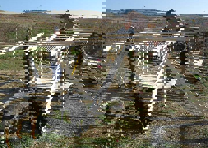 Svilos-1-2017-Wetterschutzbau + Terrassenbau.JPG