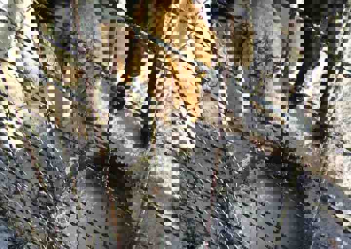 Svilos-1-2017-Winter in Svilos (1).jpg