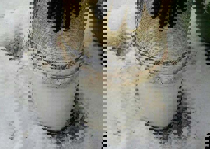 Svilos-1-2017-Winter in Svilos (5).jpg