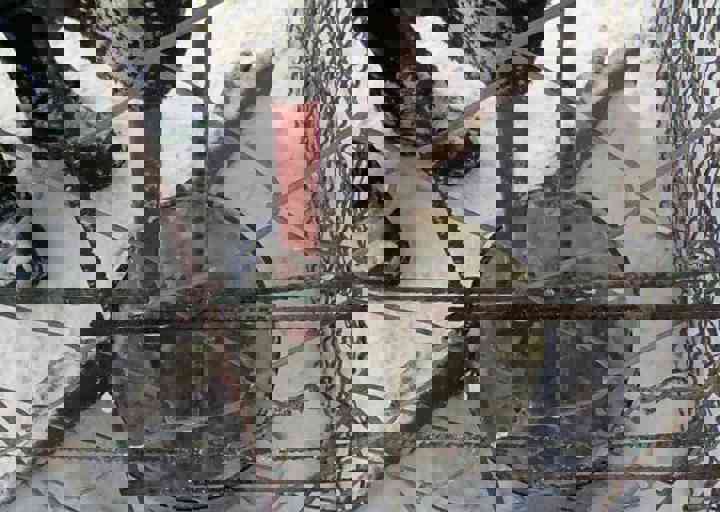 Svilos-1-2017-Winter in Svilos (6).jpg