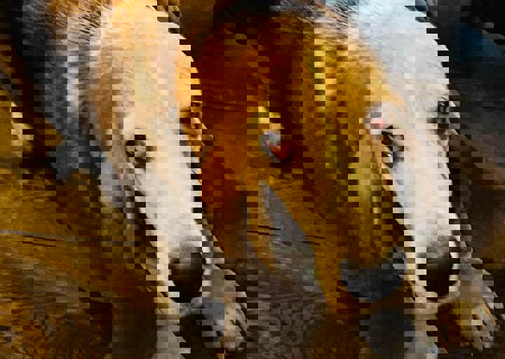 Aca Martys Party 2025 1