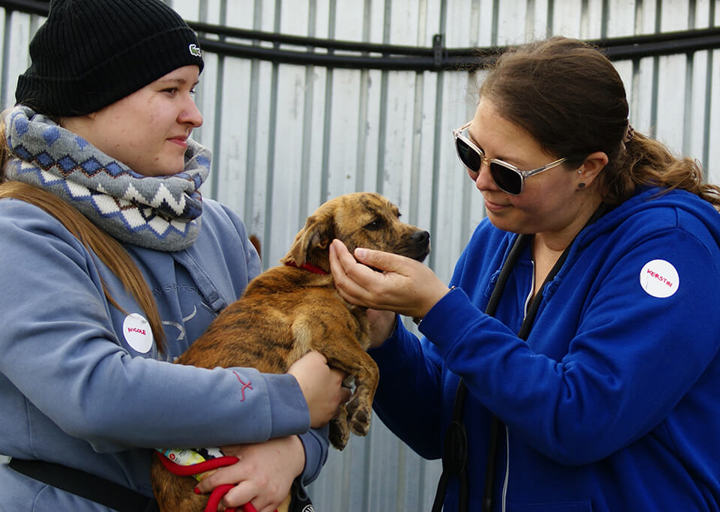 Kopie Von 25 10120420