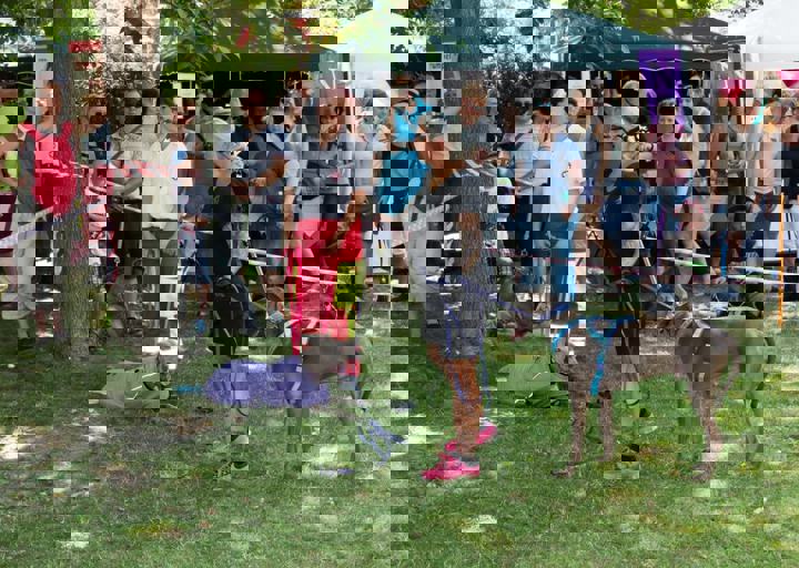 Animal Care Carol Byers  7_5_2015-35.jpg