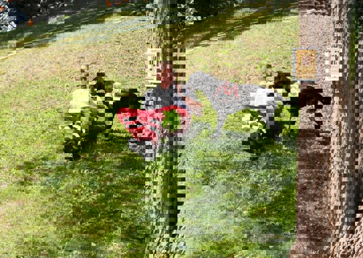 Animal Care Carol Byers  7_5_2015-47.jpg