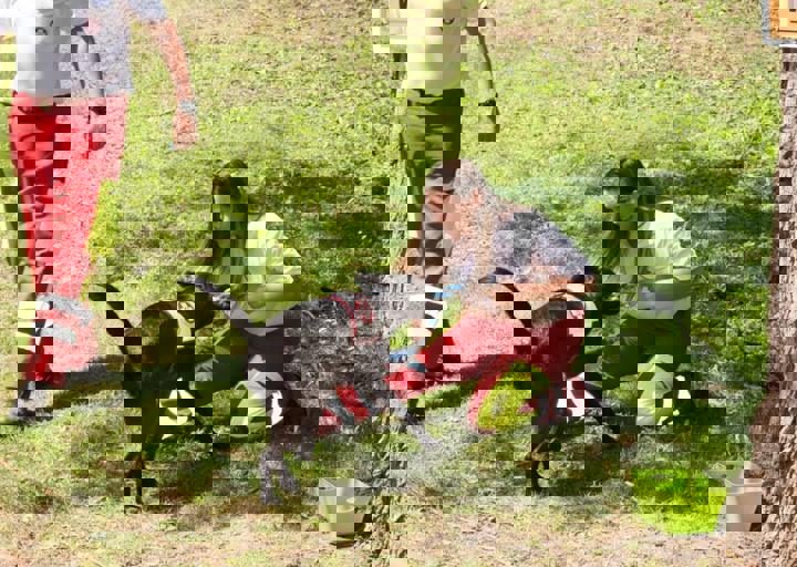 Animal Care Carol Byers  7_5_2015-48.jpg